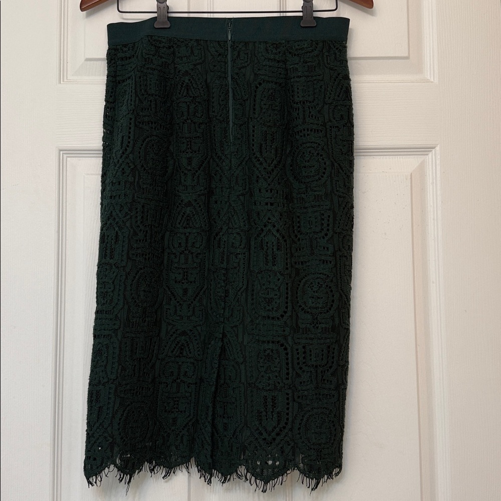 Ann Taylor Lace Pencil Skirt - Picture 7 of 7